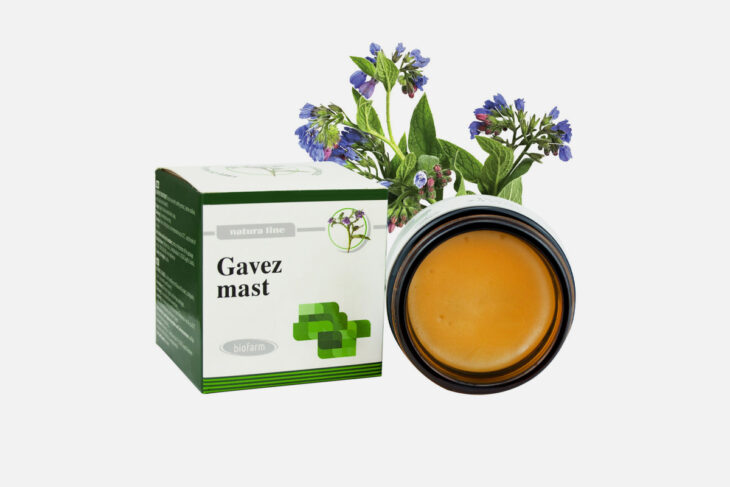 GAVEZ MAST